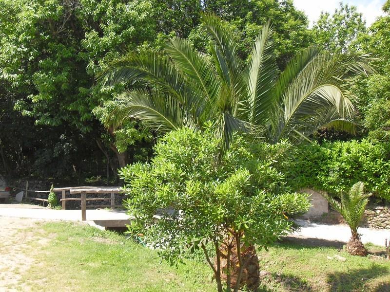 Chambres Le Relais De Sisco Phòng bức ảnh